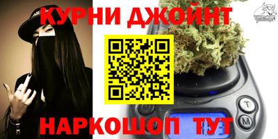 мет Кингисепп