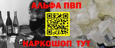 мет Кингисепп