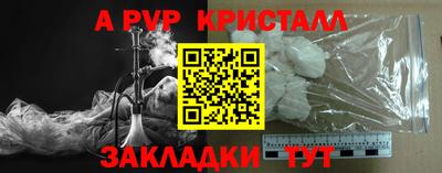 мет Кингисепп