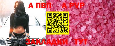 мет Кингисепп