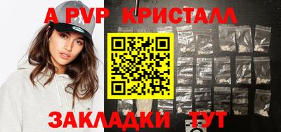 мет Кингисепп