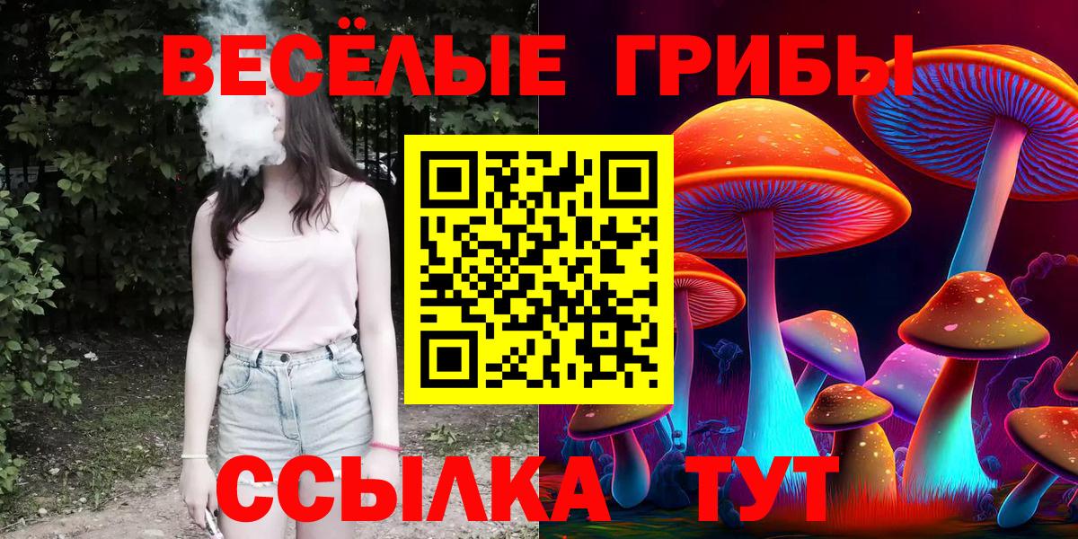 Псилоцибиновые грибы мицелий Кувандык