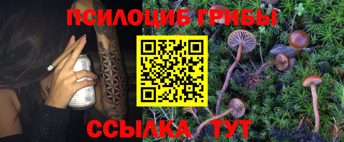Псилоцибиновые грибы Psilocybine cubensis  Вход с VPN  Псилоцибиновые грибы Magic Shrooms  Кувандык 